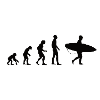 Evolution Surfen