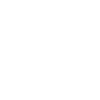 SICHERHEITSDIENST 2000