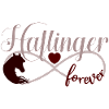 Haflinger Pferd Pferdekopf Infinity