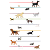 Leinenhunde 2