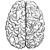 Brain black