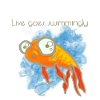Fish Goldfish Fish