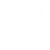 équitation