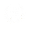 Caesar Veni Vidi Vici