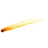 meteorite