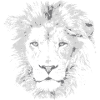 LÖWE HEAD