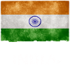 Made in India Flag Stencil Tee
