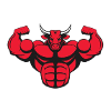Stier
