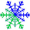 Christmas star winter