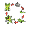 Science biology frog