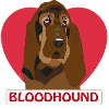 Bloodhound