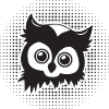 Funny owls head