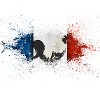 French Flag