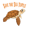 Turtle Turtle Holiday Seychelles