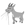 Goat eating t-shirt