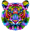 Lion Tiger