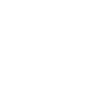 Le chien va 3