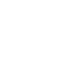 The raven II