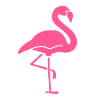 Flamingo pink bird