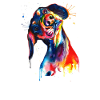 Hund Aquarell Bunt