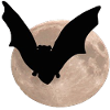 Feldermaus vor Mond