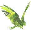 Parrot rainforest
