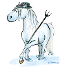 Camargue-Pferd