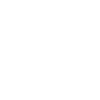 Ice Hockey Evolution