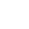 Architect