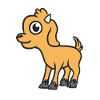 Baby goat