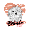 Bolonka Zwetna