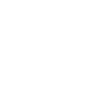 pilot