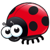 Ladybird