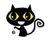 Hypnosis cat
