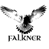 Falkner, Vogel mit Schwingen