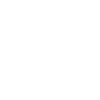 Problemlöser
