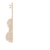 Violoniste violon
