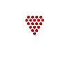 Padel & Wine