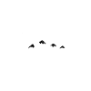 Né pour skier