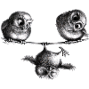 Three Owls - Freedom and Fun
