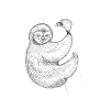 sloth