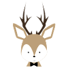 Erwin the baby deer