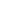 ceo
