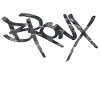 Bronx