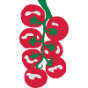 grappe de tomates cerises_g1