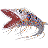 Shark fish