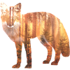 Idée cadeau boisé Fox
