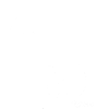 schimmel-kaltblut