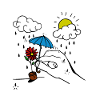 Rain