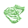 Iguana lizard
